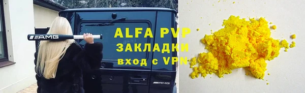 молекула духа Козельск