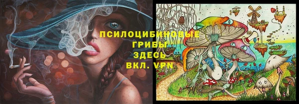 прущие грибы Кинешма