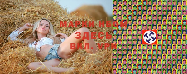 молекула духа Козельск