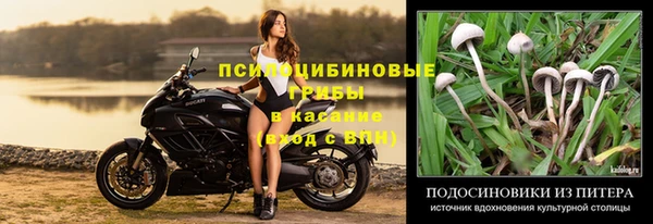 молекула духа Козельск
