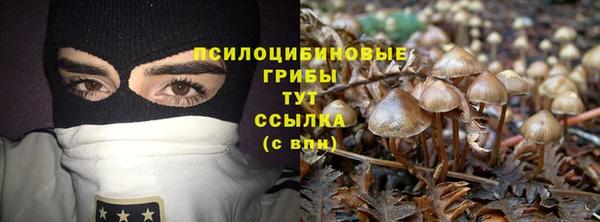 молекула духа Козельск