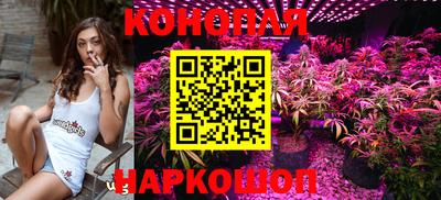 твердый Кингисепп