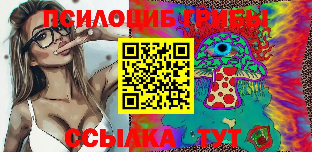 Псилоцибиновые грибы прущие грибы Кингисепп